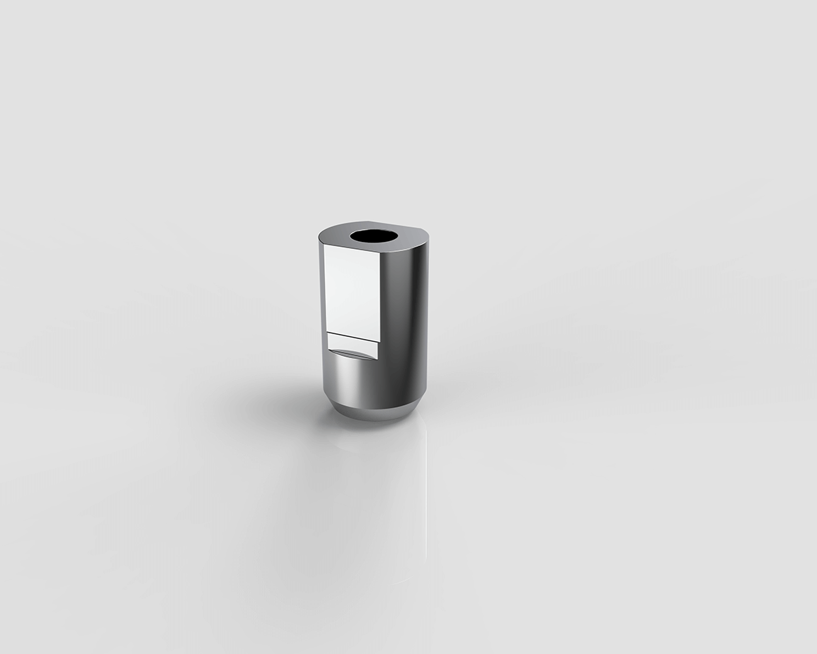 Biohorizons (External) 5.0mm Scanbody