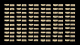 exocad Tooth Library (Flex Initial Purchase)