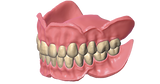 exocad Full Denture (Perpetual Initial Purchase)